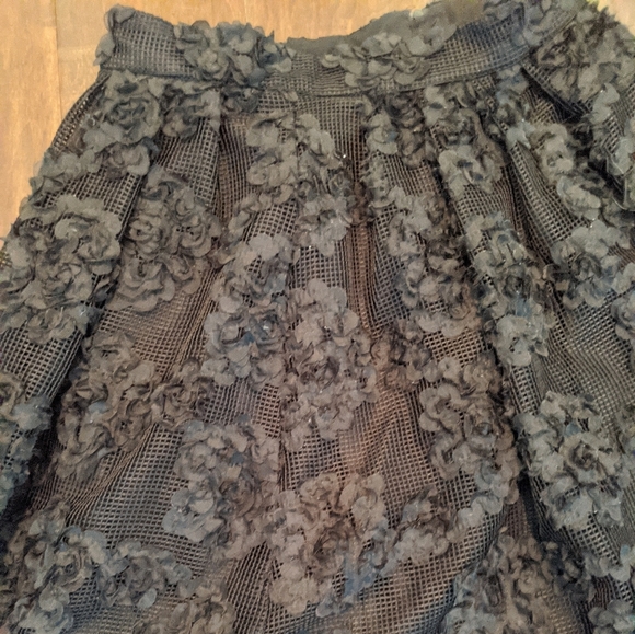 Black Floral Applique Mesh Skirt - Picture 6 of 6